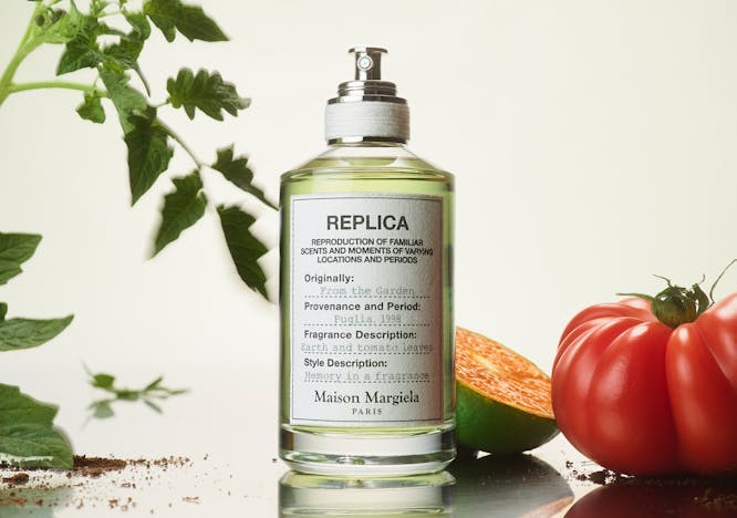 herbs plant herbal leaf bottle cosmetics perfume food produce