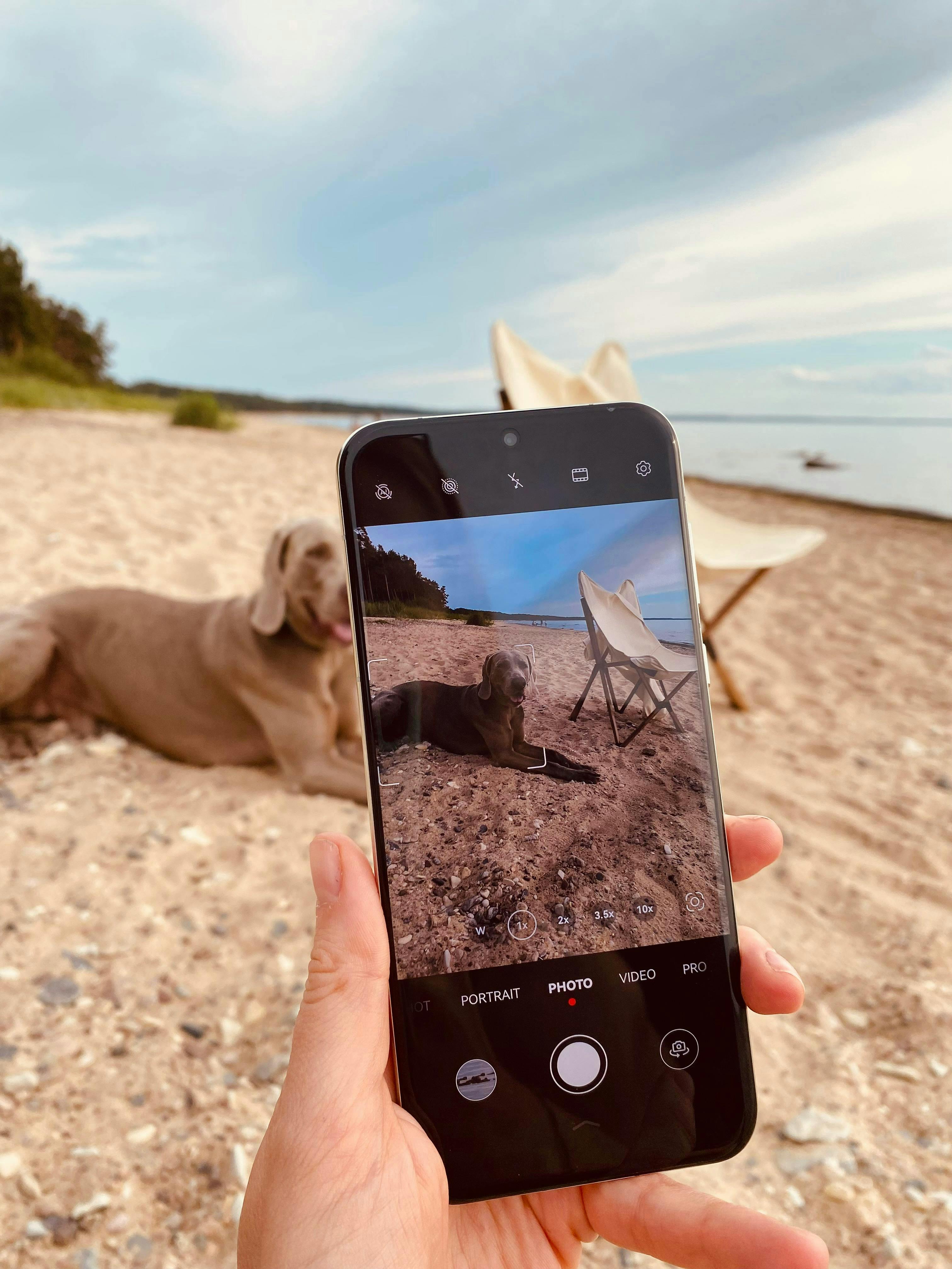 photography electronics phone soil mobile phone dog mammal pet beach water